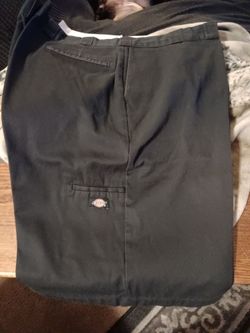 Dickie Shorts