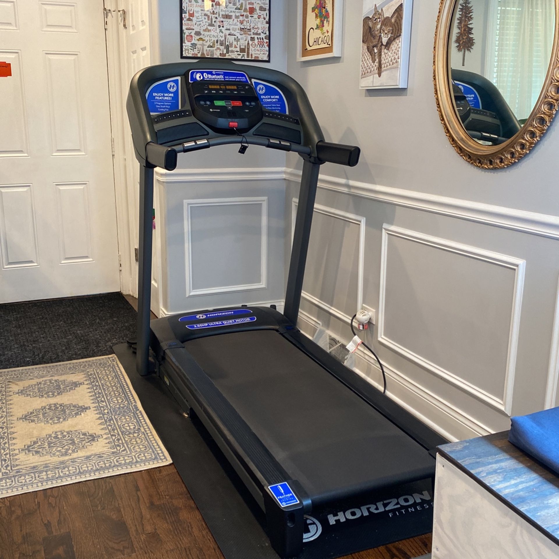 Horizon Fitness Treadmill