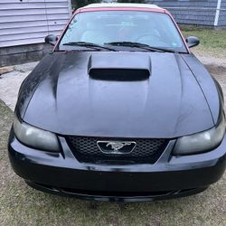 2004 Ford Mustang