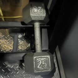 25.lbs X 1 Dumbbell 