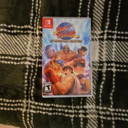 Street Fighter Video Game
