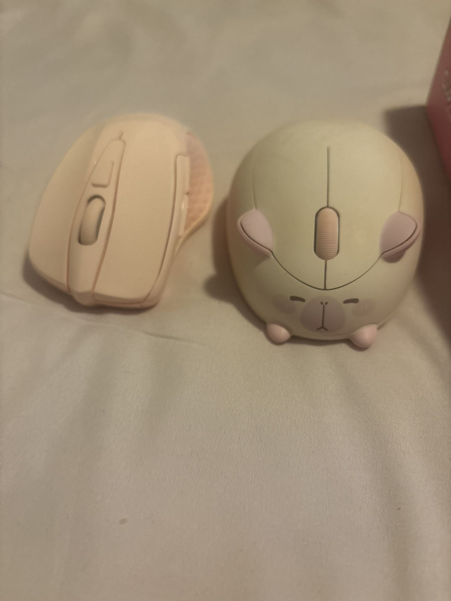 Mouse