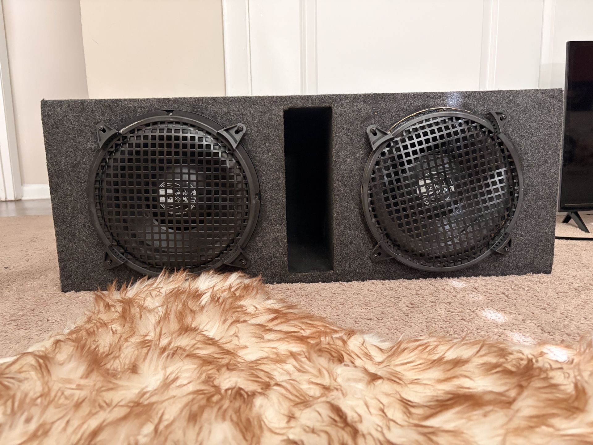 10 Inch Subs