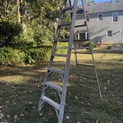 8 Ft Werner Ladder