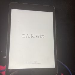 iPad Mini 2
