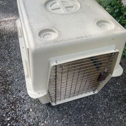 Kennel Medium Size