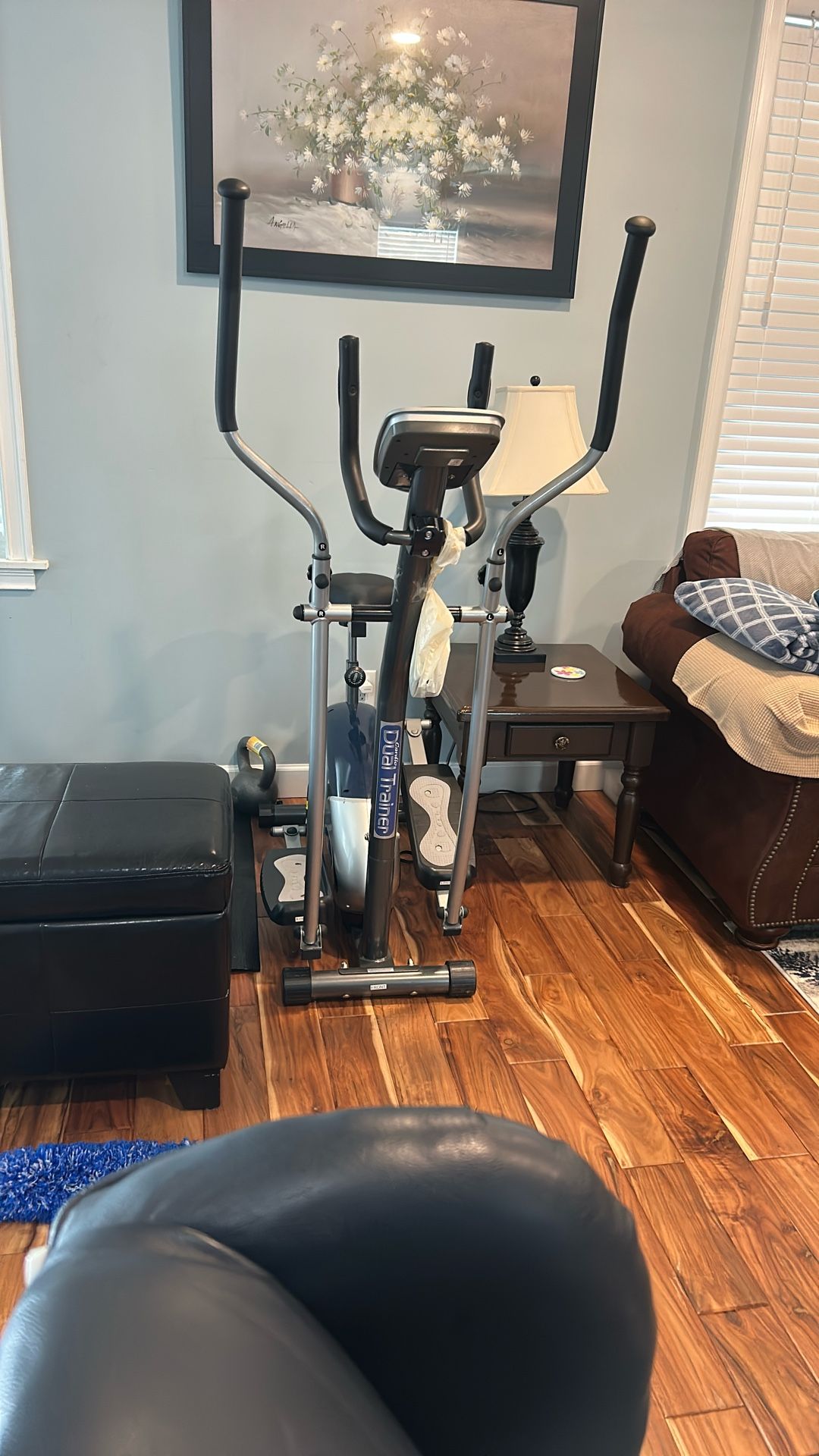 Elliptical Bike
