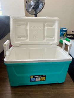 Closing My Snack Business – Everything Must Go!