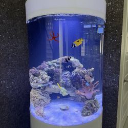 Fish tank