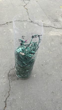 warm white Christmas lights