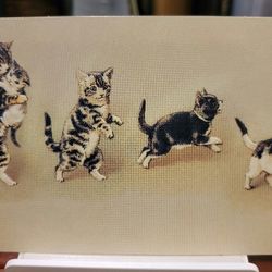 Vintage Hallmark Post Card