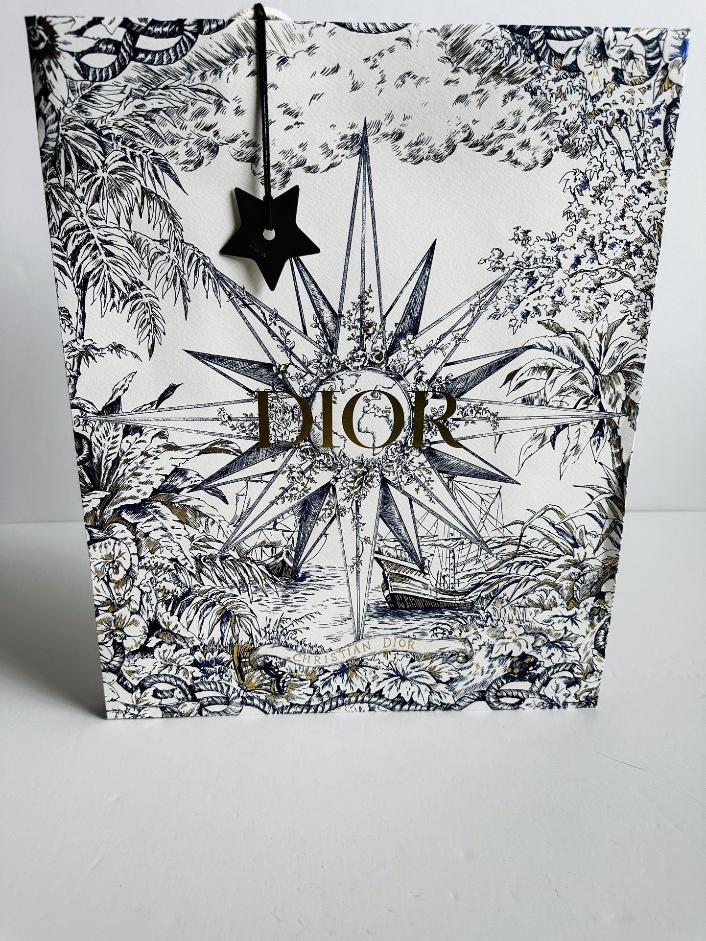 Christian Dior Shopping Bag Lucky Charm Gift Bag Luxury Packaging Brand New