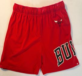 Chicago Bulls Fanatics NBA Basketball Men's Large Shorts
