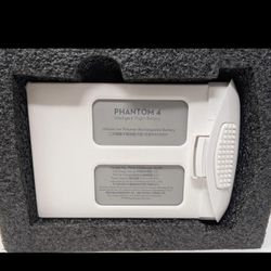 DJI Phantom 4 Intelligent Flight Battery PH4-5350mAh 15.2V Drone LiPo OEM