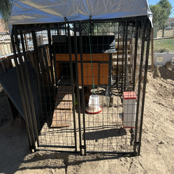 Dog kennel
