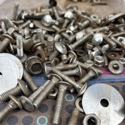 Stainless Steel Bolts 
