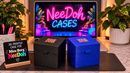 Nice Berg NeeDoh Case