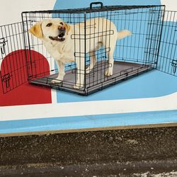 Brand new dog crate is still in original box. 59 ave and 101