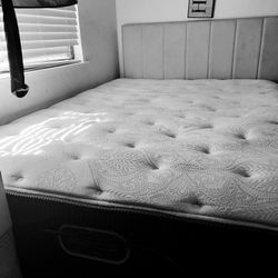 Queen Sized Bed And Adjustable Base 