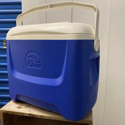 Portable Igloo Cooler