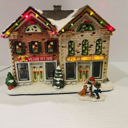 St Nicholas Square Village Pet Shop Hand Painted Porcelain Illuminated 2006 READ Description 