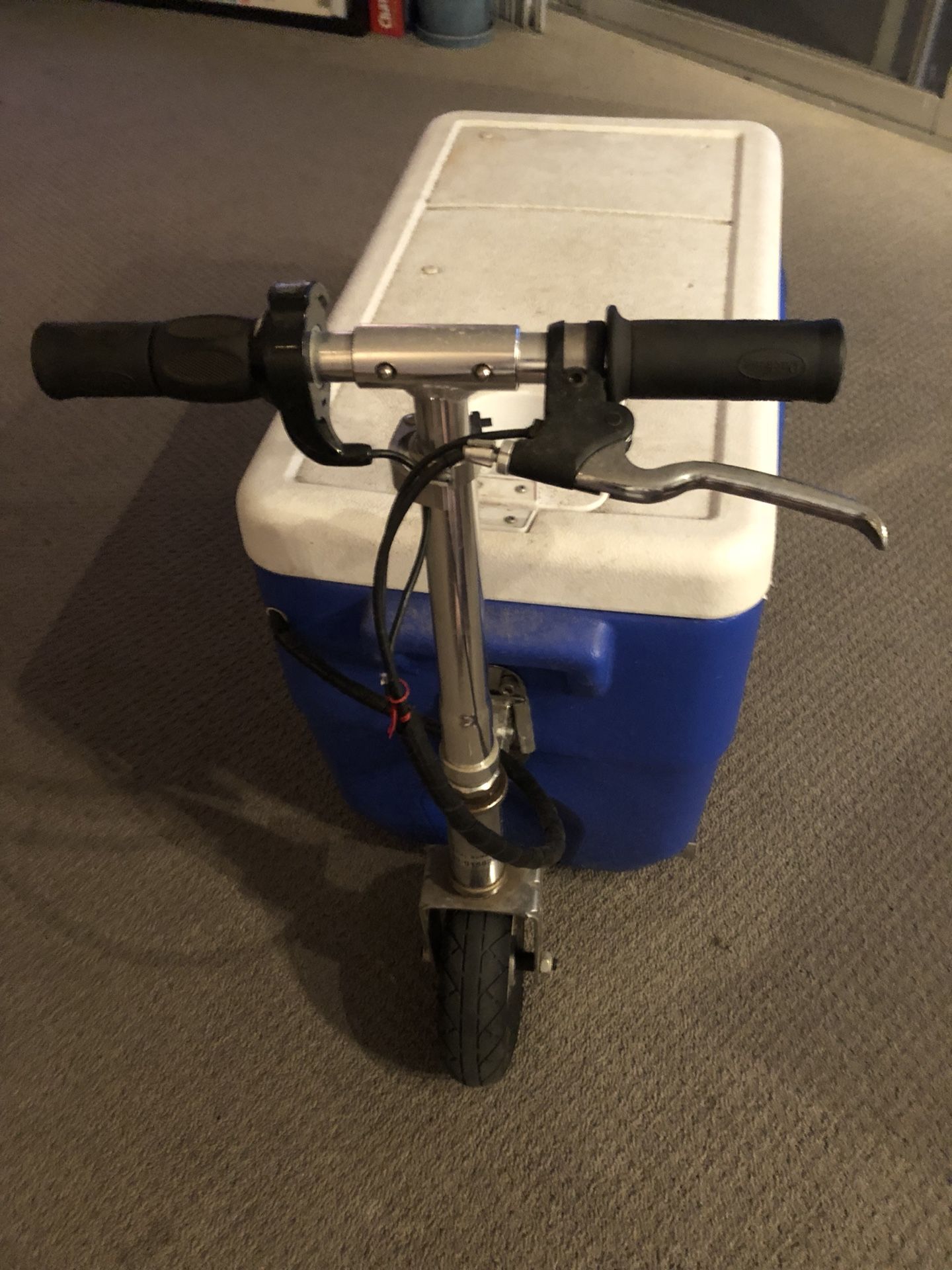 Cruzin cooler
