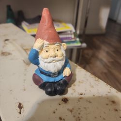 “Weathered Watcher: The Saluting Garden Gnome”