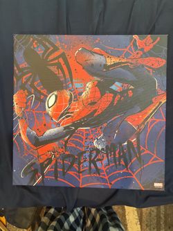 Spiderman canvas