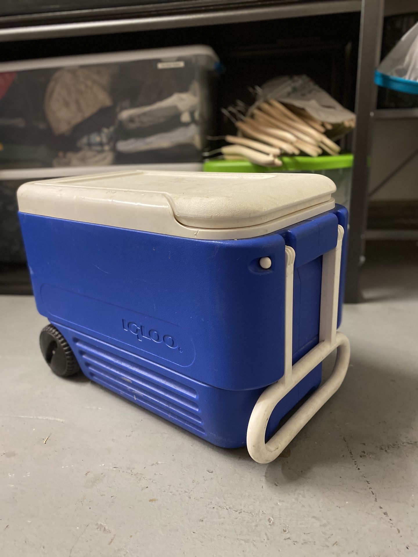 Igloo Cooler