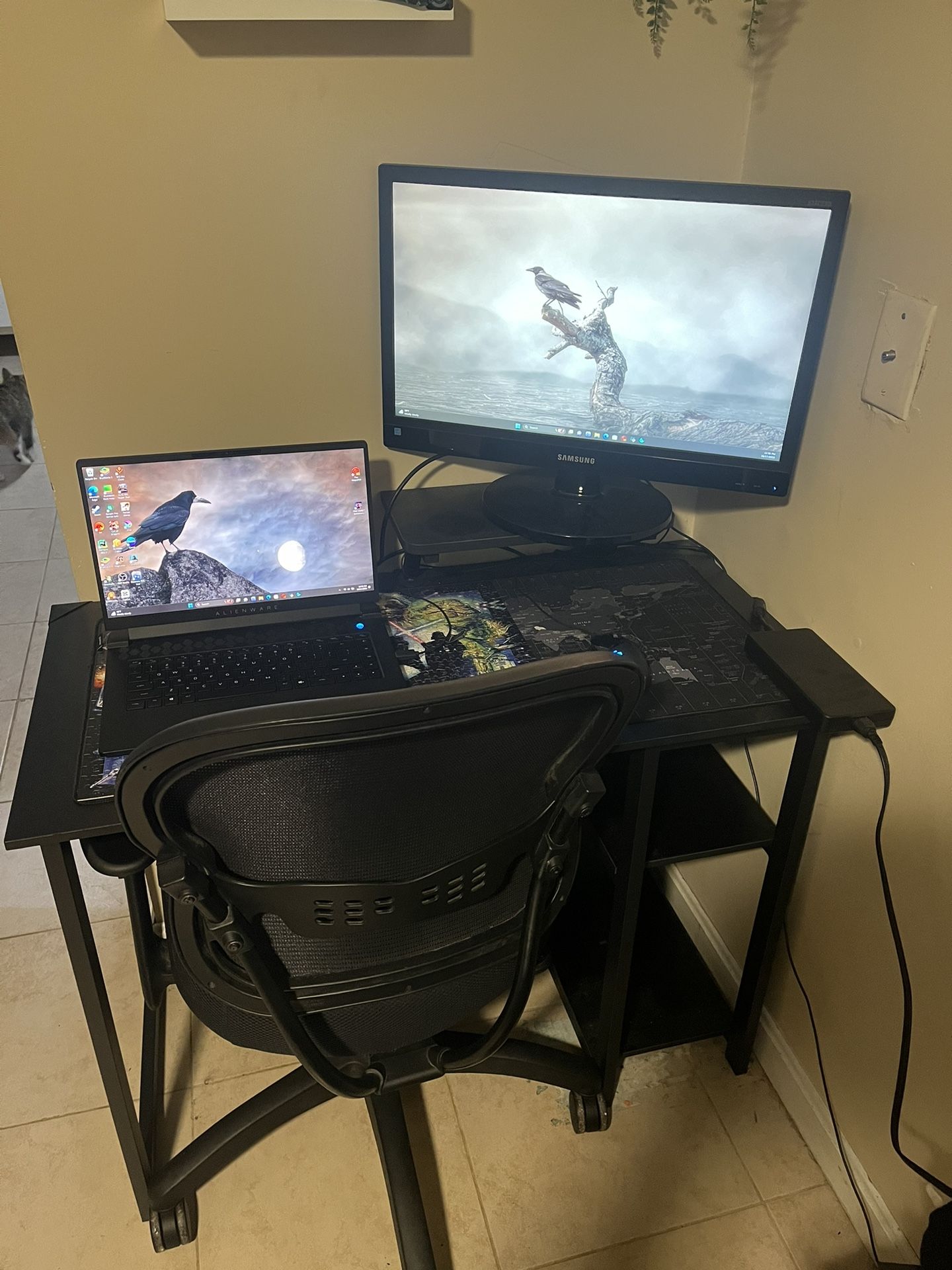Gaming Setup