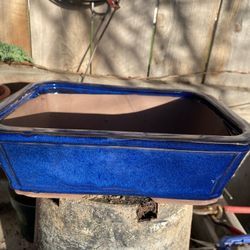 Blue Bonsai Pot Over A Foot Wide 4 Inch Deep $40 Each