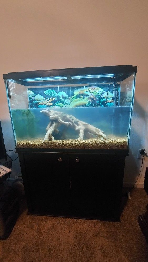 45 Gal Fish Tank And Stand