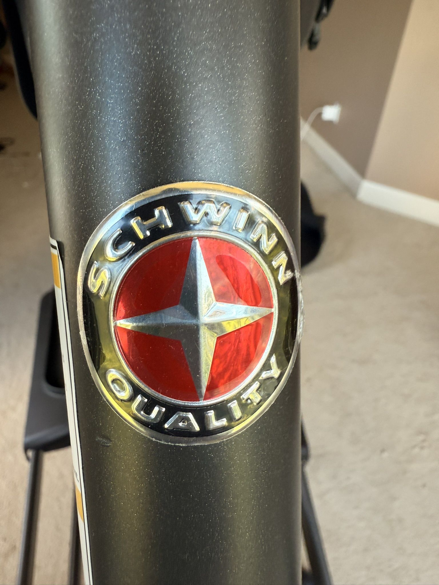 Schwinn Elliptical
