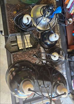 Lamplights for reptiles