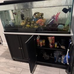 Fish Tank With Fish 