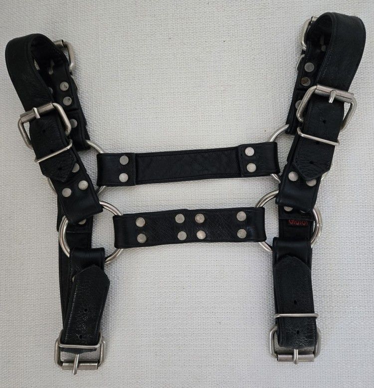 Mens Leather Harness