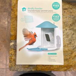 Birdfy Bird Feeder With Camera