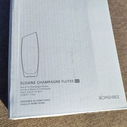 Brand New Set of 4 Sloane Stemless Champagne Flutes Glasses