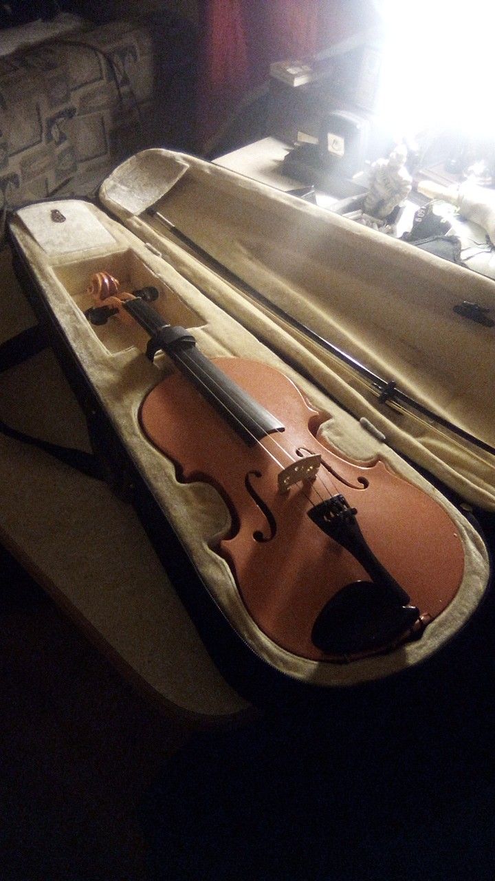 Violin