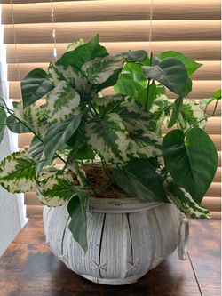 Artificial Variegated Plant in Woven Pot