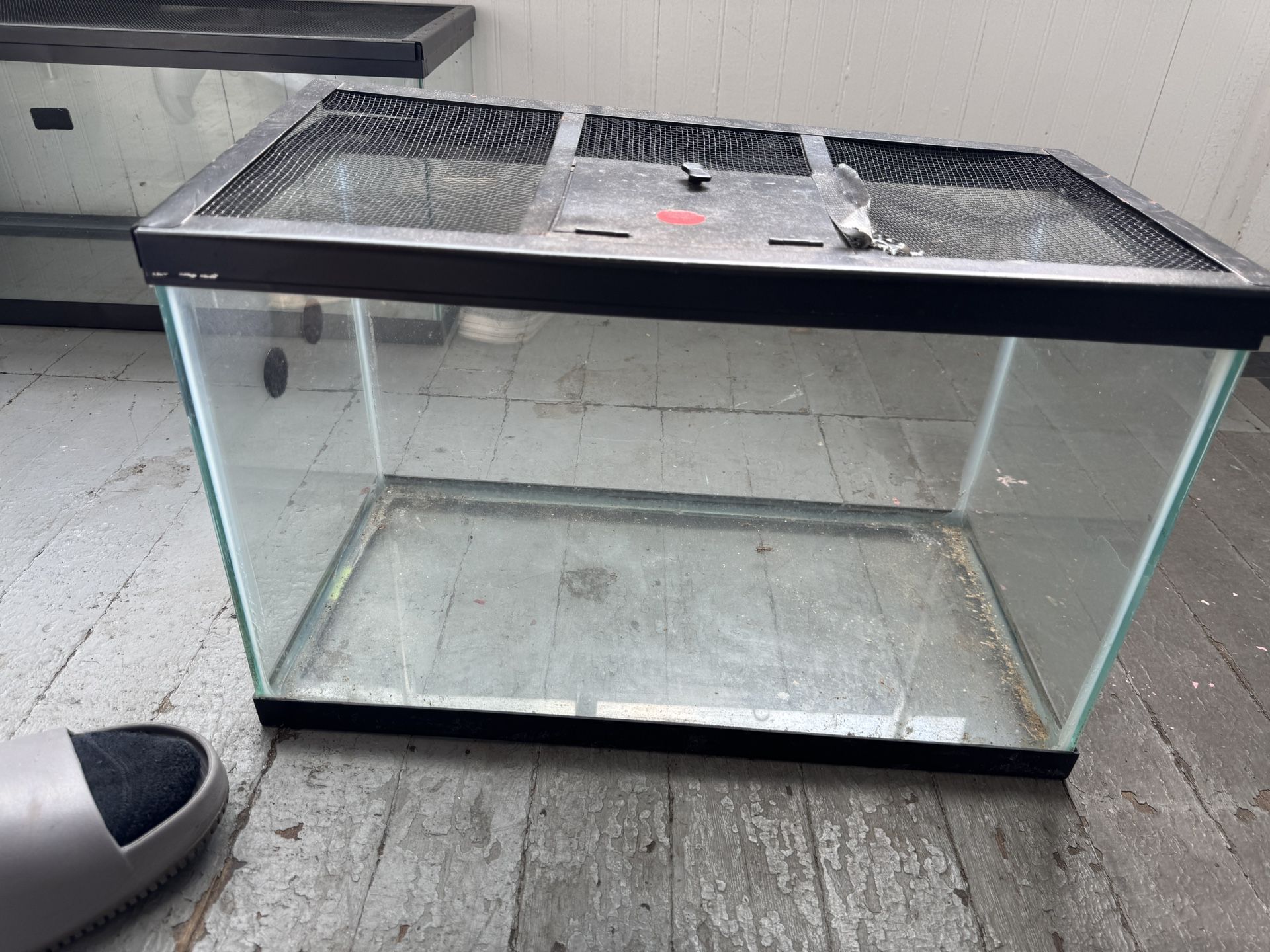 10 Gallon Tank With Lid