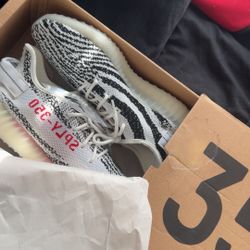 Yeezy Zebra 