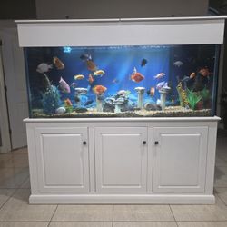 215 Gallon Fish Tank