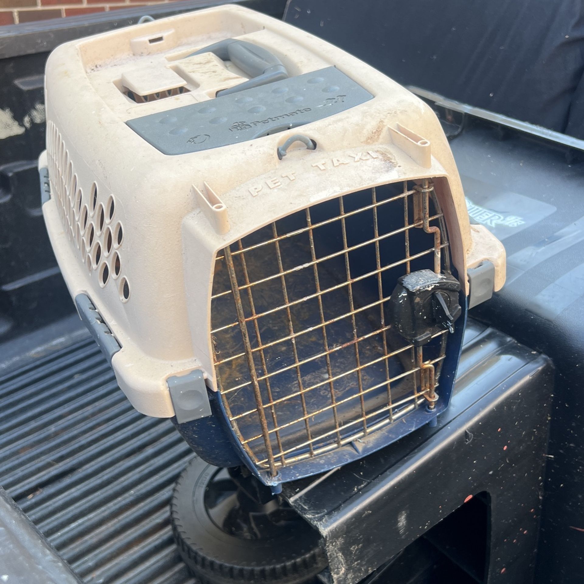 Pet Taxi 19 Inch