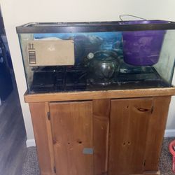 30 Gallon Fish Tank Setup