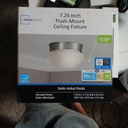 Celing Light New