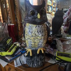 Owl Decoy