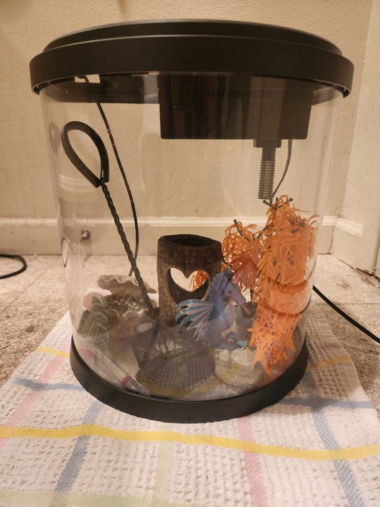 Fish Tank