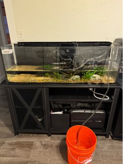 75 Gallon Custom Tank