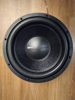 DS18 ZR 12" 2D Subwoofer